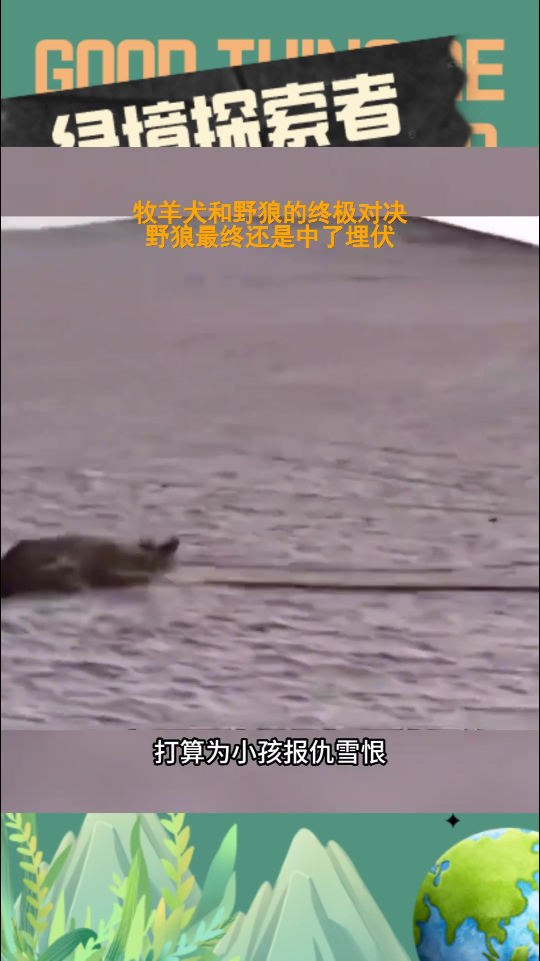 开云体育登录入口-关于惊心动魄，谁将在终极对决中脱颖而出？的信息