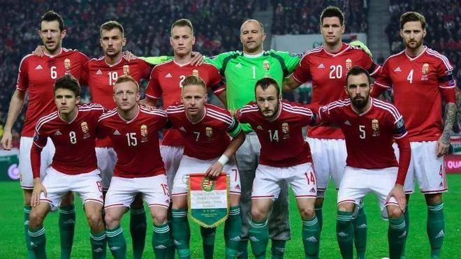 开云体育中国官网-匈牙利队在欧预赛中积分领先